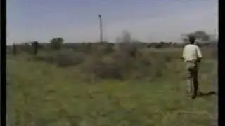 A Lion Hunt Gone Bad
