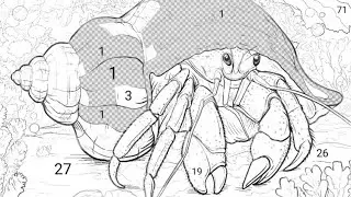 a bright orange hermit crab on the seabed | Coloring Games