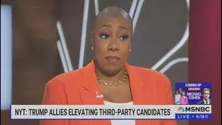 Symone Sanders & MSNBC are 100% LIARS! - #TFNOriginal #FactChecker