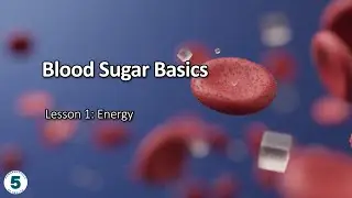 Blood Sugar Basics Lesson 1: Energy