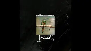 Jacamar (Official Video) - Mini Homer