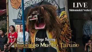 Barongan Kendal Turonggo Mudho Taruno • Live Besokor Sidomukti Weleri