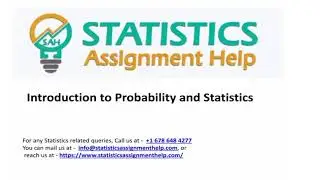 Elevate Your Grades with Professional Statistics Assignment Help!