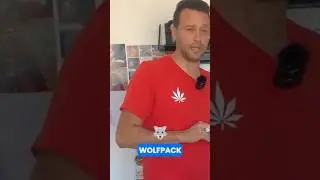 Monetize Without Owning Anything