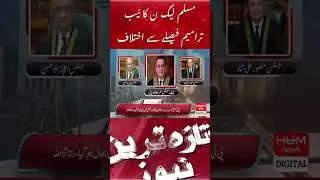 PML-N disagrees with NAB amendment decision
