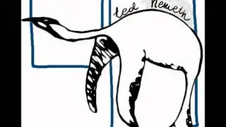 Ted Nemeth - Radiowa