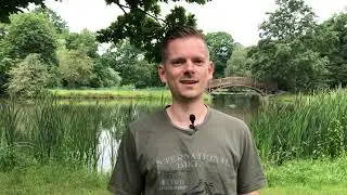Tobias Seiler &uuml;ber seine Hypnoseausbildung bei Tomas Schr&ouml;ck - 2020