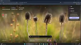 Как отобразить статистику Brave в браузере BRAVE