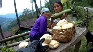 Exploring North Sikkim || Gangtok || Part3