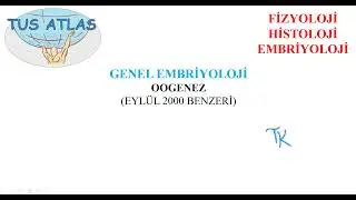 OOGENEZ (TUS, FİZYOLOJİ - HİSTOLOJİ - EMBRİYOLOJİ, GENEL EMBRİYOLOJİ)