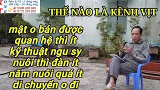 Kênh vịt o biết về kt nuôi ong