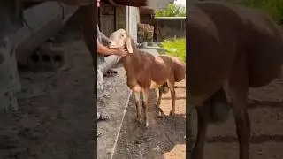 красавчик@@@