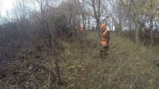 Old Fashioned Rabbit Hunt with a Group of Friends The Final Episode