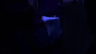 Condemned House Party @sixflagsmagicmountain Scream Break 2024 {iphone POV}