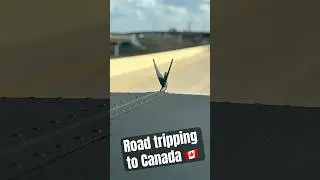 Road trip to Canada in a Semi-Truck. #shorts #youtubetruck #roadtrips #Canada #truckingcanada