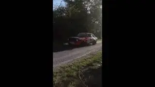 Escort Rally Special 2019