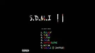 lil boo$t mobil - PUOY (OFFICIAL AUDIO)