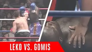 He wasn't getting up from that one... Stefan Leko vs. Phillipe Gomis