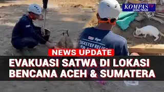 Relawan Ungkap Proses Penyelamatan Satwa di Lokasi Banjir dan Longsor Sumatera & Aceh