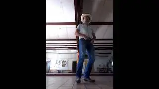 SILVER DOLLAR