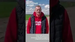 Дорога Калач &ndash; Новая Криуша выгоняет водителей на обочины и встречку