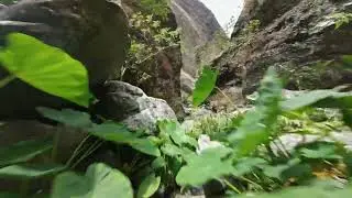 Canalisation des orangers (part 2)