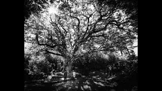 Mysticism on Jeju Island w/ Joey Rositano