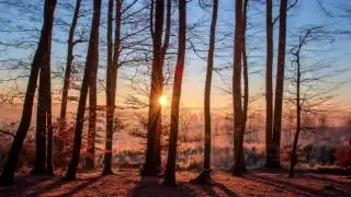 Bioenergy: Relaxing Sounds of Nature and Mindfulness Meditation Music for Natural Therapy
