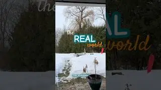 The real world. #realworld #outside #life #adulting #happeningnow #myoffice #naturelovers #outdoors