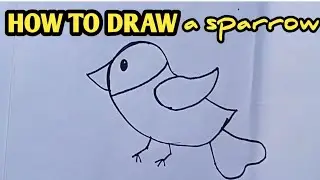 How to draw sparrow | stepbystep || Draw some dreams #drawing #stepbystep #sparrow #drawsomedreams