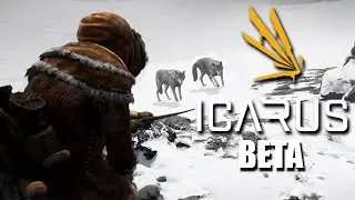 Expedition to the Arctic Region - Icarus Beta 3