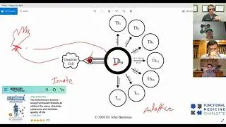 Immunity 201 - understanding T cells and their role in inflammation