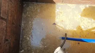 Drain Unblocking 254 -  Milky River!