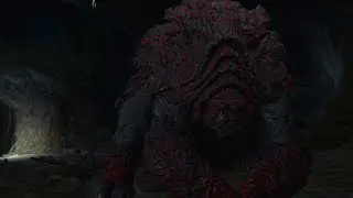 Witcher 3 - Contract : The Tufo Monster - Evil Choice - Part 2