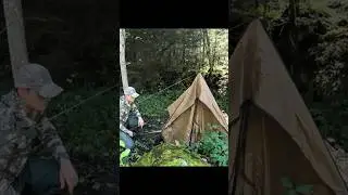 Amazing camping in a forest #survivalskills #survival #campinglife #adventure #shorts #survivalist