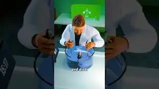 Шокирующий эксперимент с утоплением мыши 🐭💡