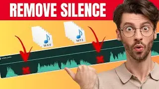 How to Remove Silence From Audio in Just 1 Minute