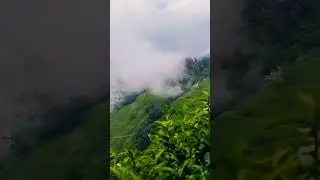 romantic weather#darjeeling #love#romantic status #weather #hillstation