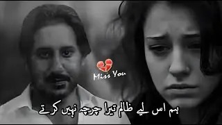 Hum Is Liye Zalim Tera Charcha Nahi Karte |ہم اس لیے ظالم تیرا چرچہ نہیں کرتے Slowed & Reverb #nfak