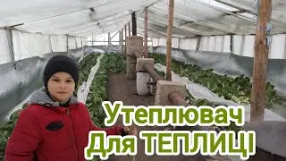 Як утеплити теплицю. 
