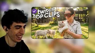 ДЕСАУТ СМОТРИТ : ТОП КЛИПЫ С TWITCH | ГЕНСУХА И ТИГРЫ В ТАЙЛАНДЕ