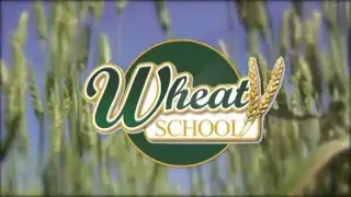 Wheat School: Do You Farm in a High-Yield or Low-Yield Wheat Zone?