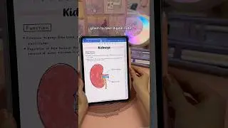 grwm to take digital notes 💕 iPad note taking | goodnotes app | study notes | iPad accessories