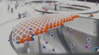 VIGO System Epitaxy Division - ENT