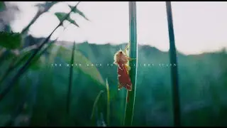 R E T U R N - T O - Y O U R S E L F  |  The Path Back to the Silent Truth