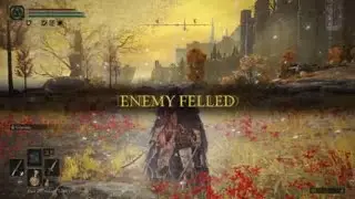 ELDEN RING //BLACK KNIFE ASSASSIN 1V1