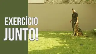 Aprenda a ensinar o exercício 