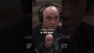 BRAIN COMPUTER INTERFACE - TECH NEWS BY ELON MUSK (NEURALINK WITH AI) #jre #jrepodcast #jreclips