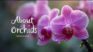 🌸About Orchids | Audiobook by Frederick Boyle | Nature & Beauty