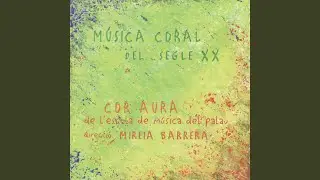 En Pere Galler&iacute;